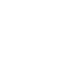 svg icon