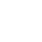 svg icon