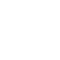 svg icon