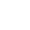 svg icon