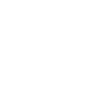 svg icon