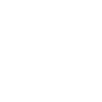 svg icon