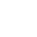 svg icon