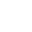 svg icon